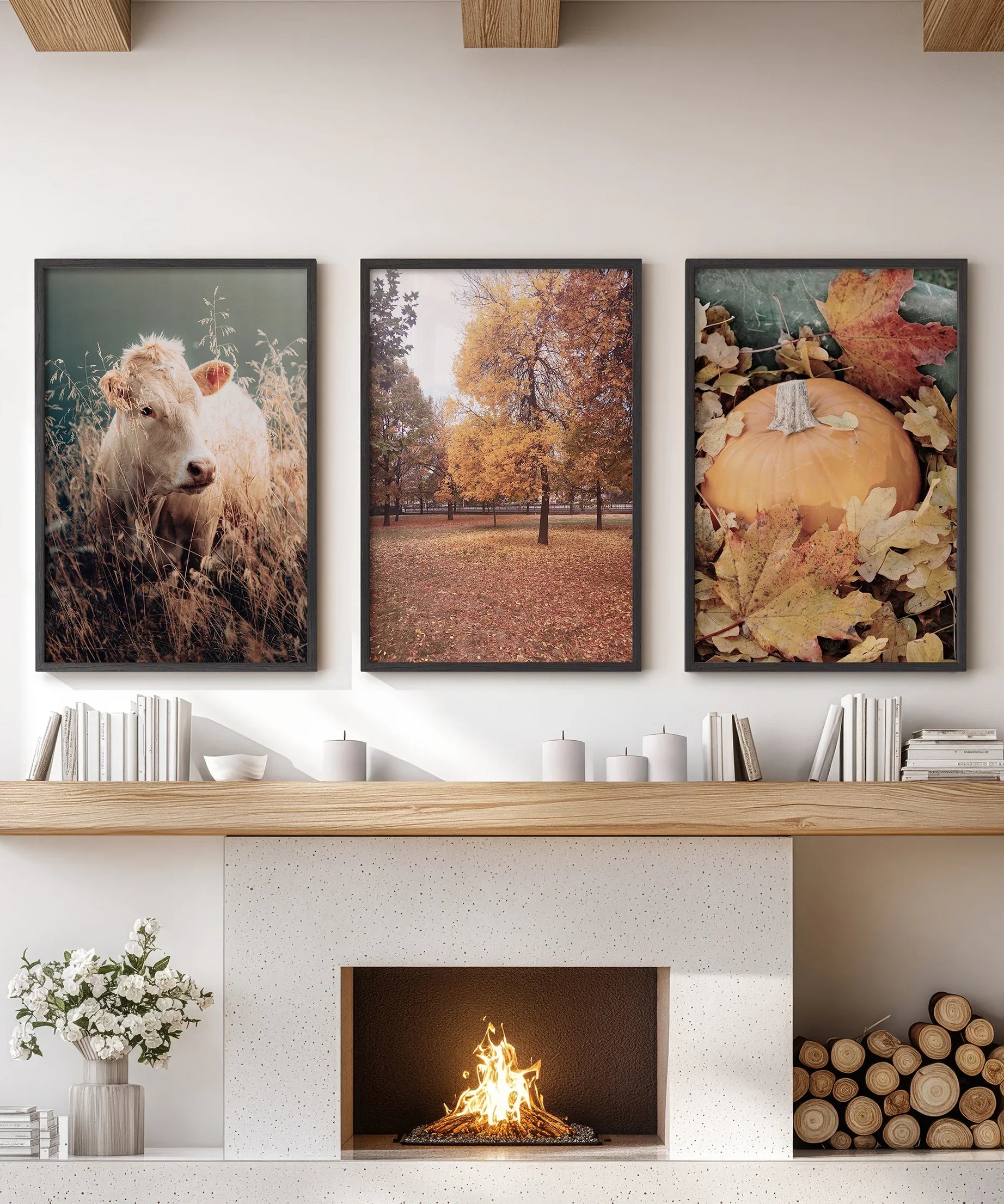 Autumn Farmhouse Prints. Cow, Fall Trees, Pumpkin Decor