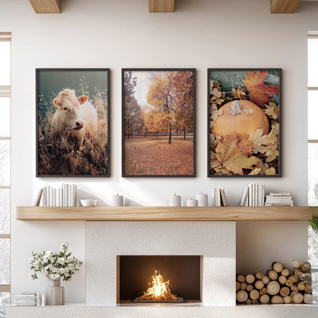 Autumn Farmhouse Prints. Cow, Fall Trees, Pumpkin Decor