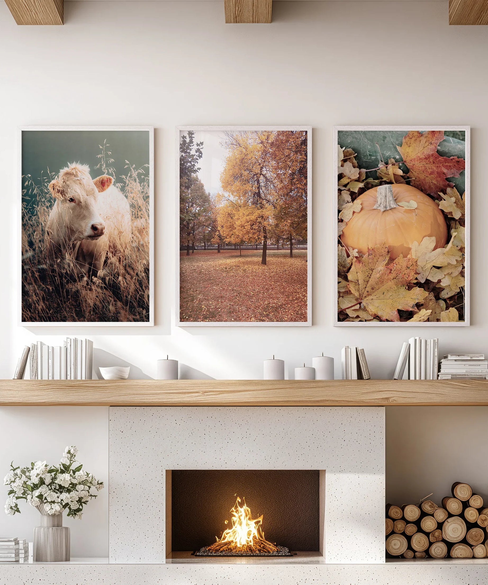 Autumn Farmhouse Prints. Cow, Fall Trees, Pumpkin Decor