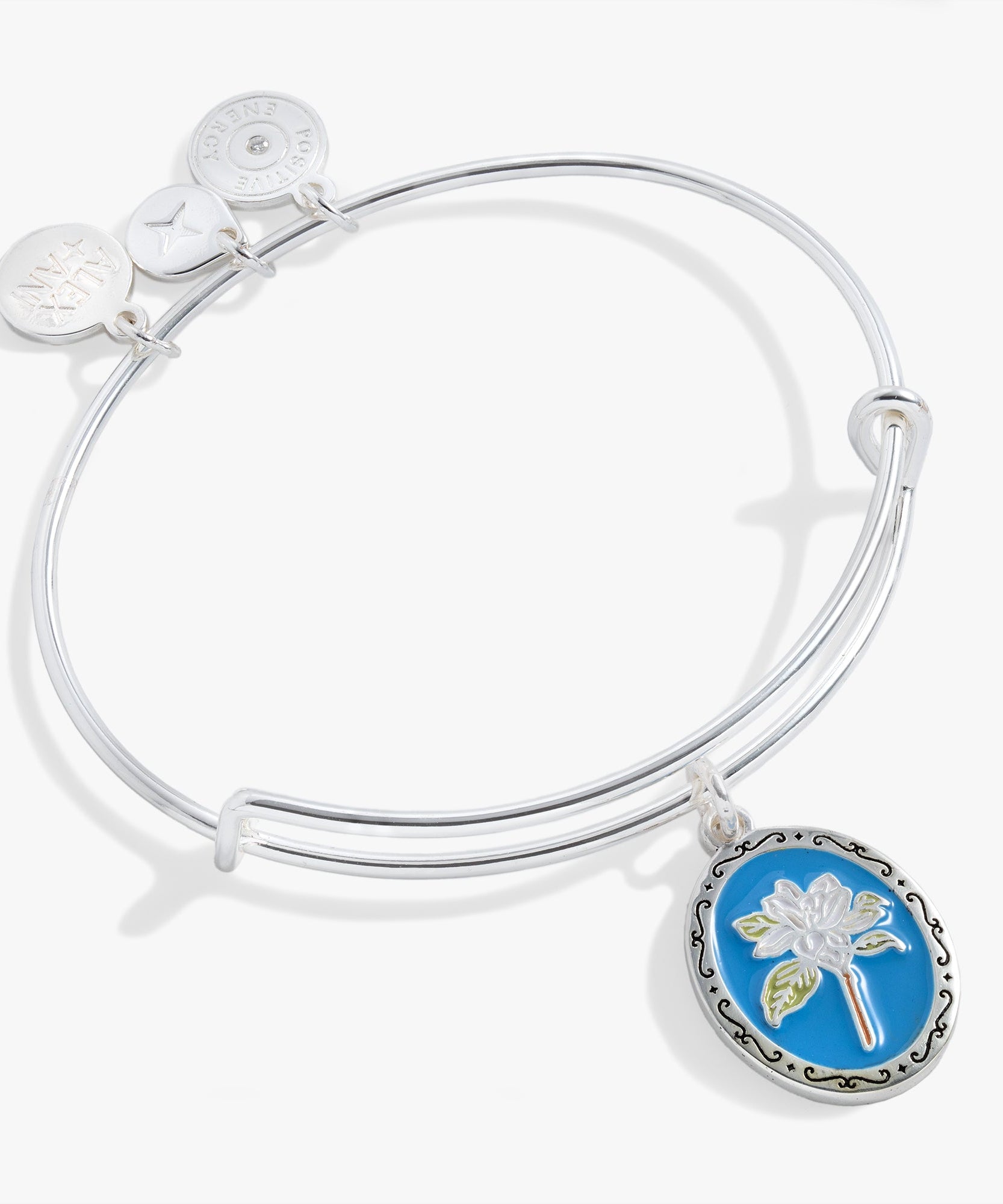Sending Love Charm Bangle