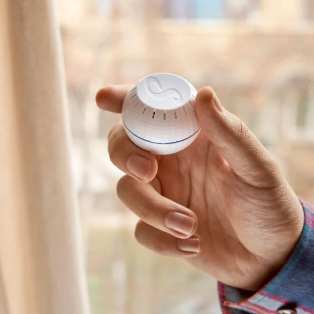 Shelly Wave H&T