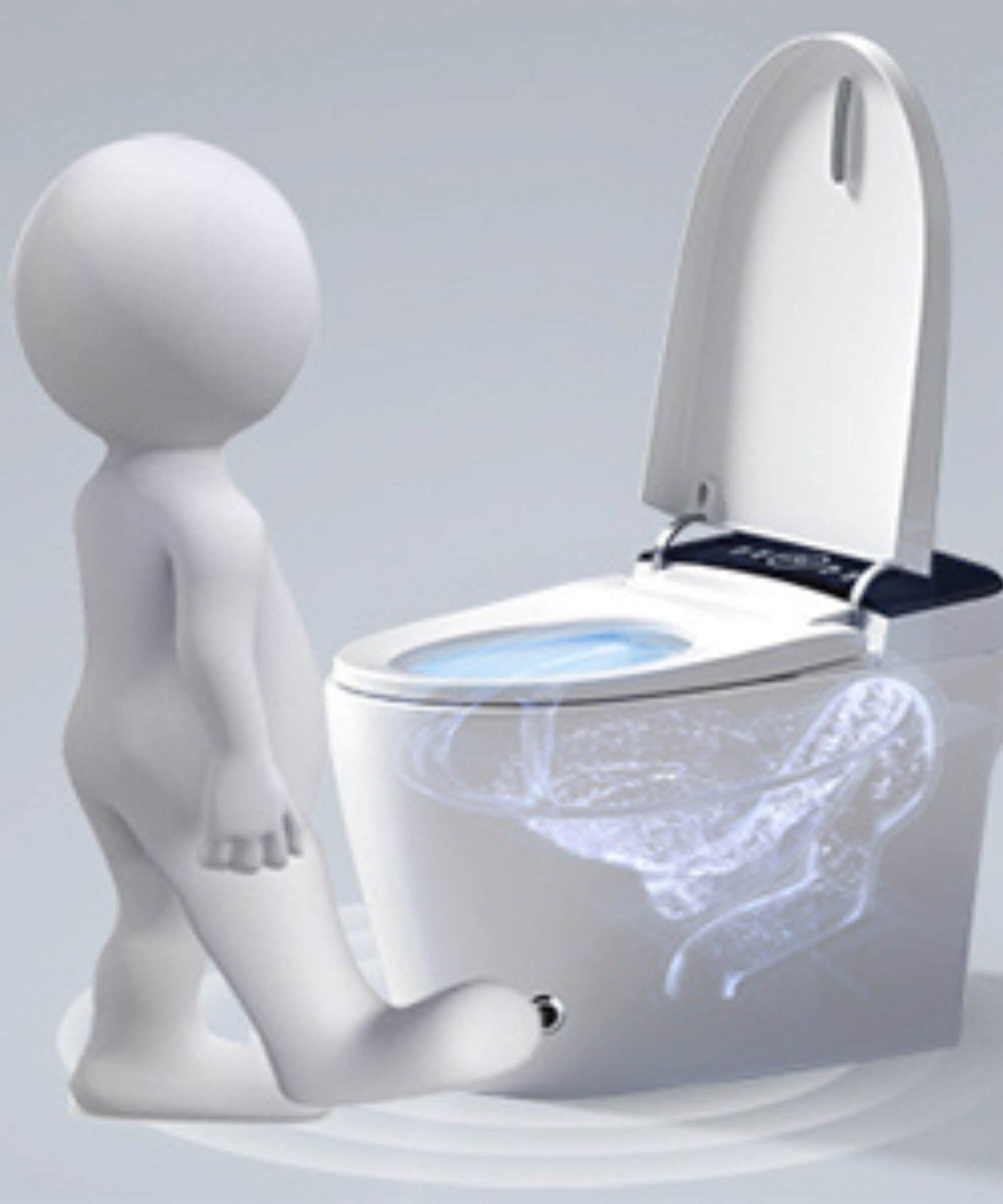 Nuvia Smart Auto Dual Flush Tankless Toilet With Heated Bidet, Auto Open And Close (SAK37415)