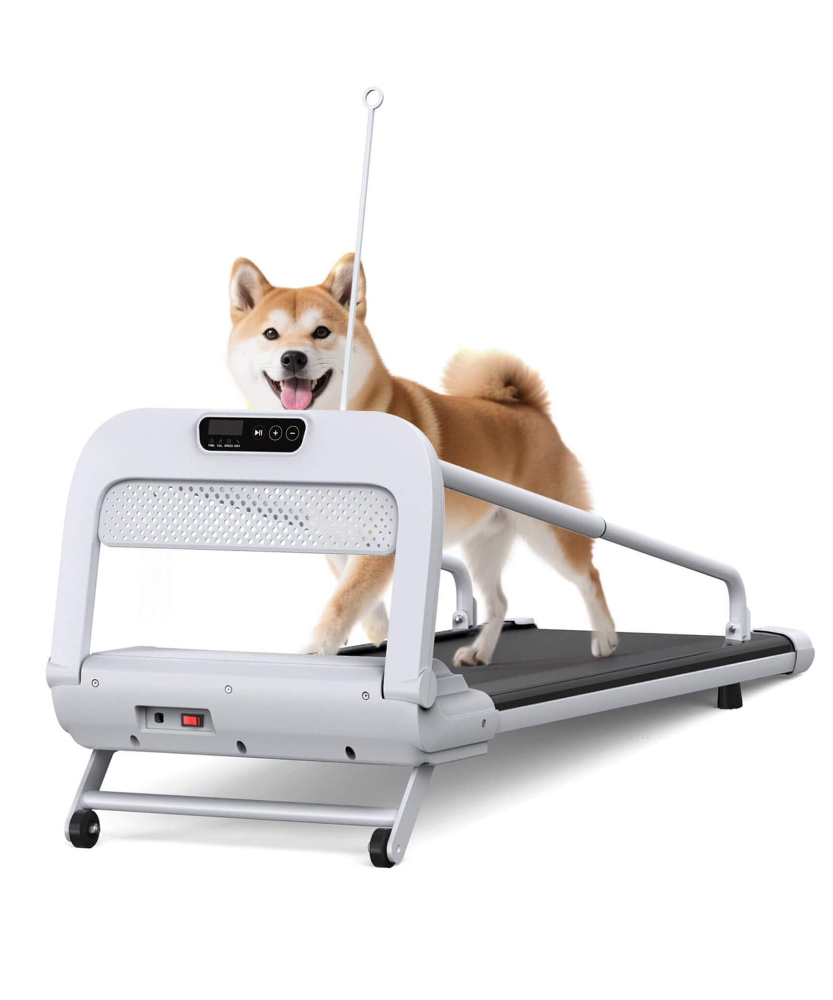 Smart Pet Treadmill With Adjustable Speed For Small And Medium Dogs (SAK72537)