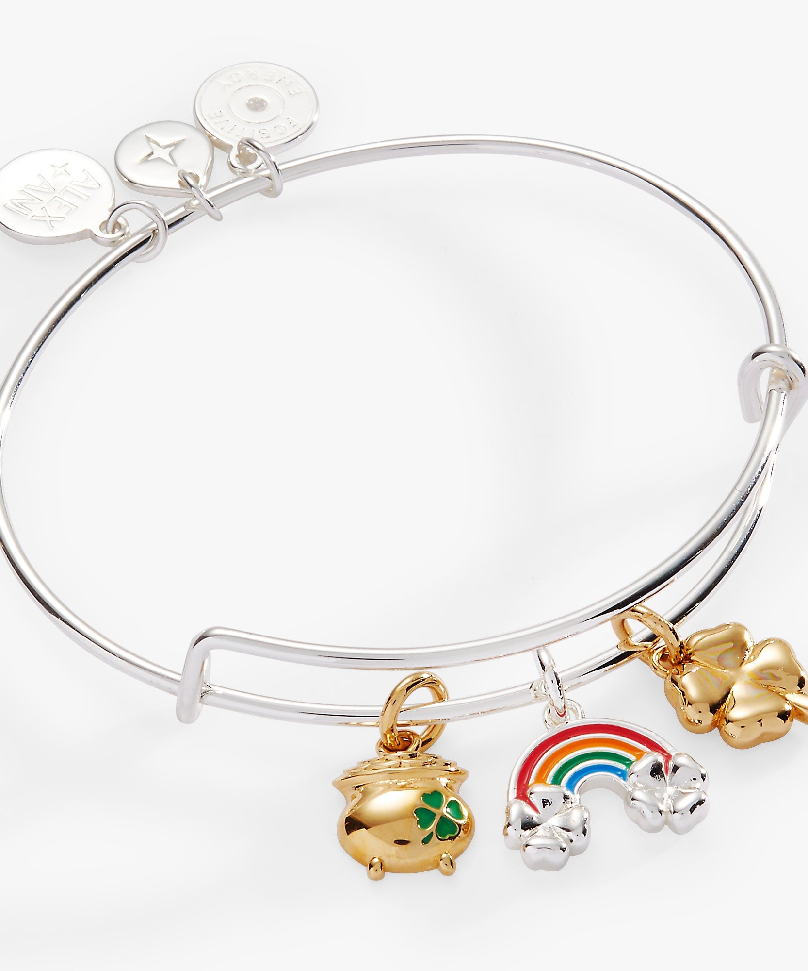 End of the Rainbow Multi-Charm Bangle