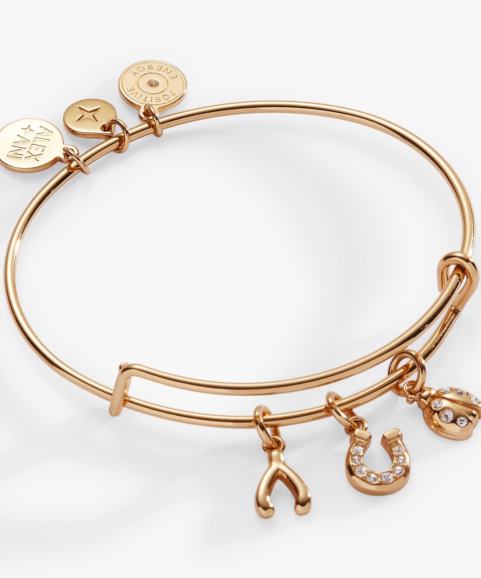 Love and Luck Multi-Charm Bangle