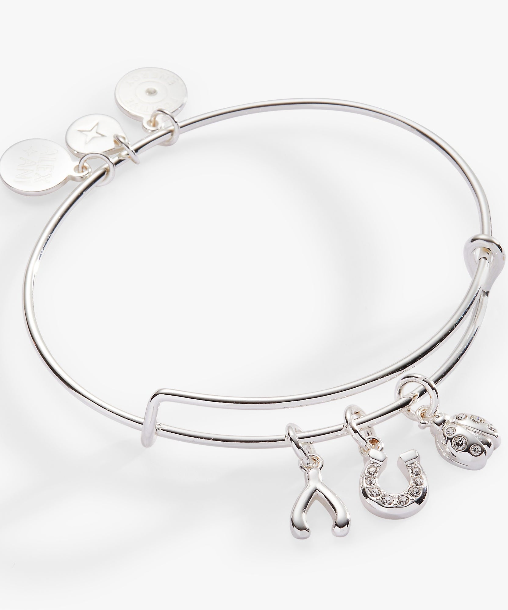 Love and Luck Multi-Charm Bangle