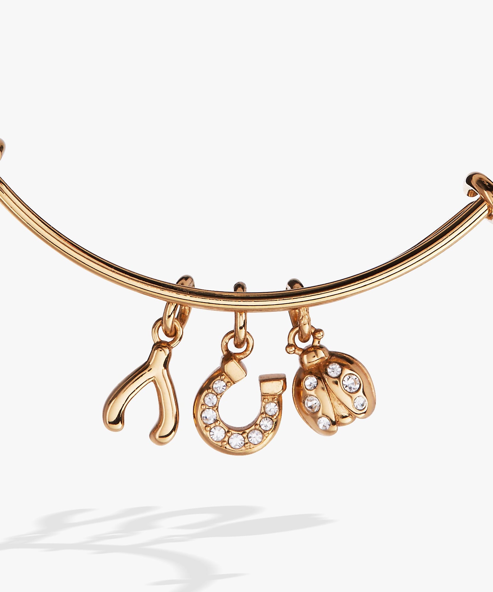 Love and Luck Multi-Charm Bangle