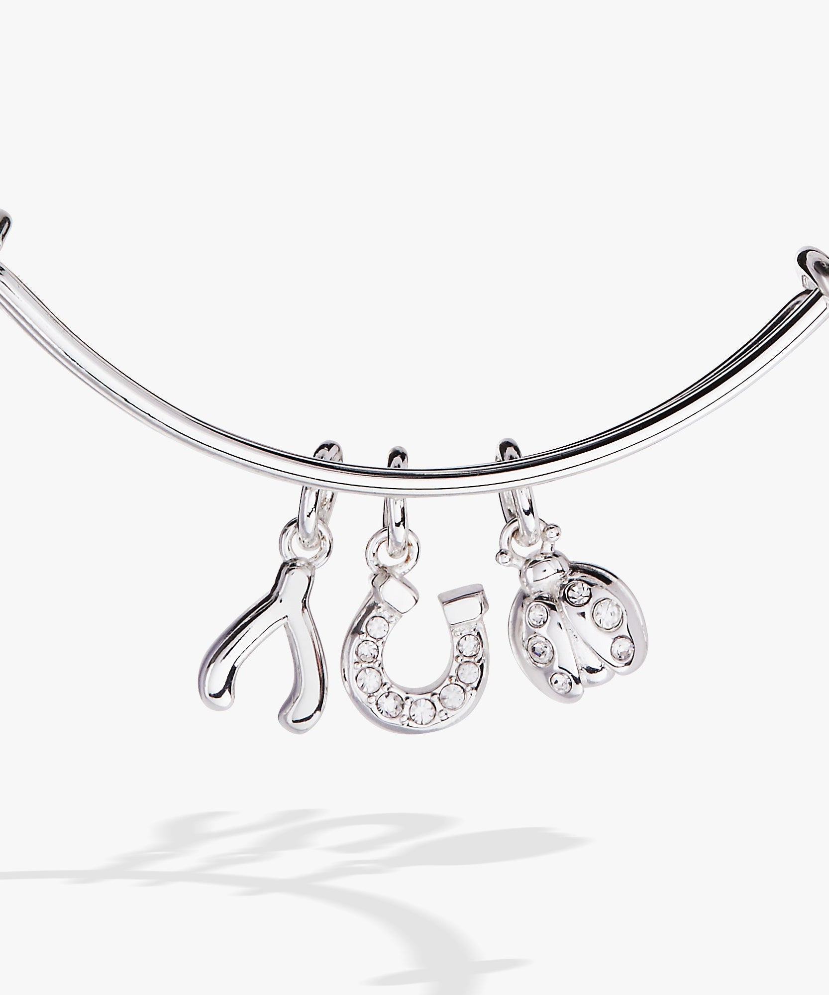 Love and Luck Multi-Charm Bangle