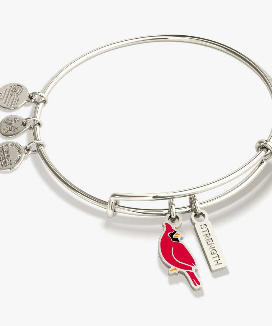 'Strength' Cardinal Duo Charm Bangle Bracelet