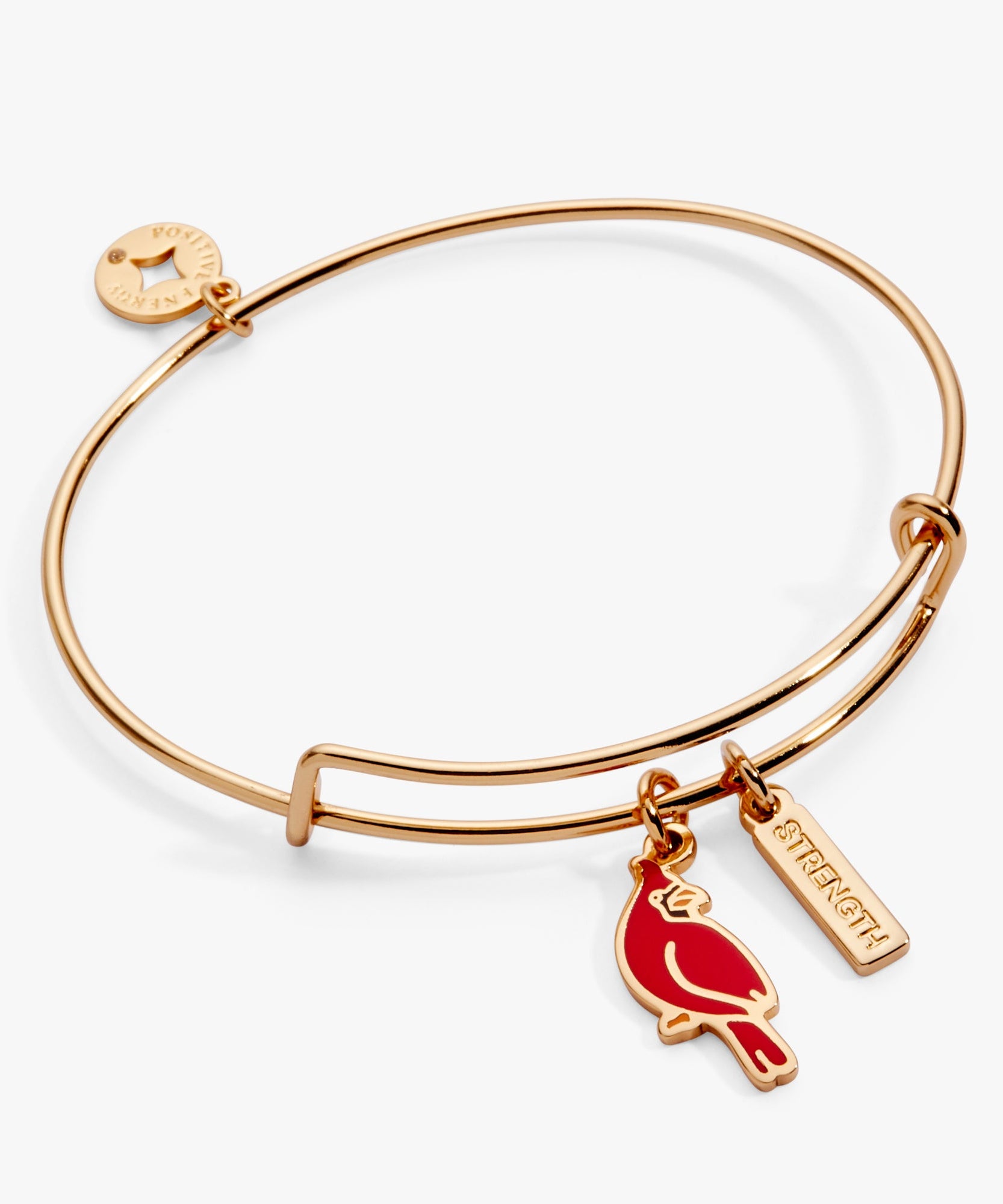'Strength' Cardinal Duo Charm Bangle Bracelet