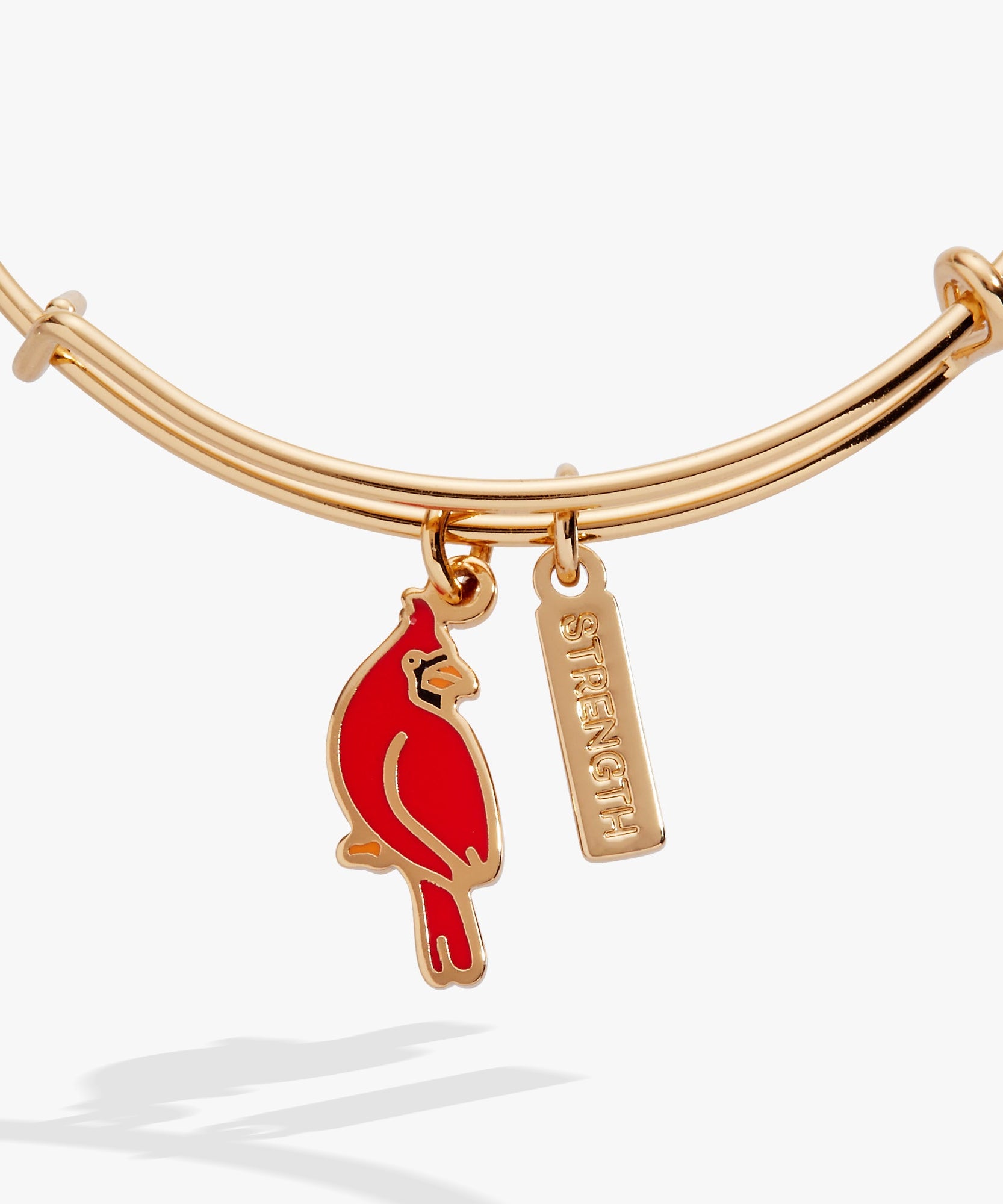 'Strength' Cardinal Duo Charm Bangle Bracelet