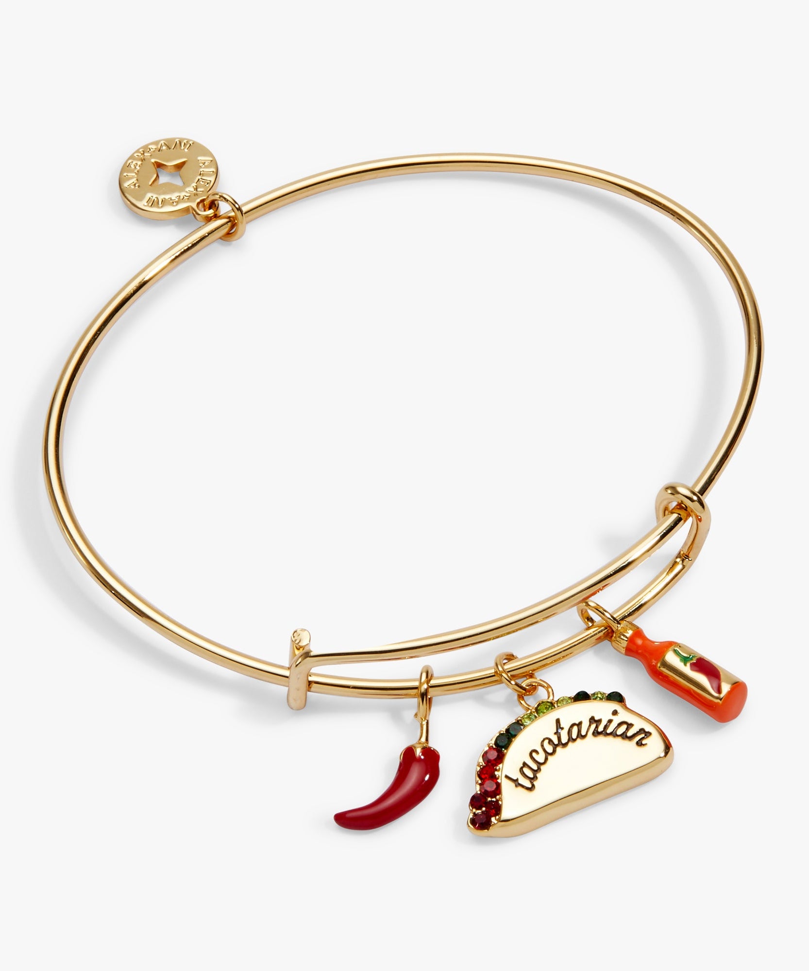'Tacotarian' Multi Charm Bangle