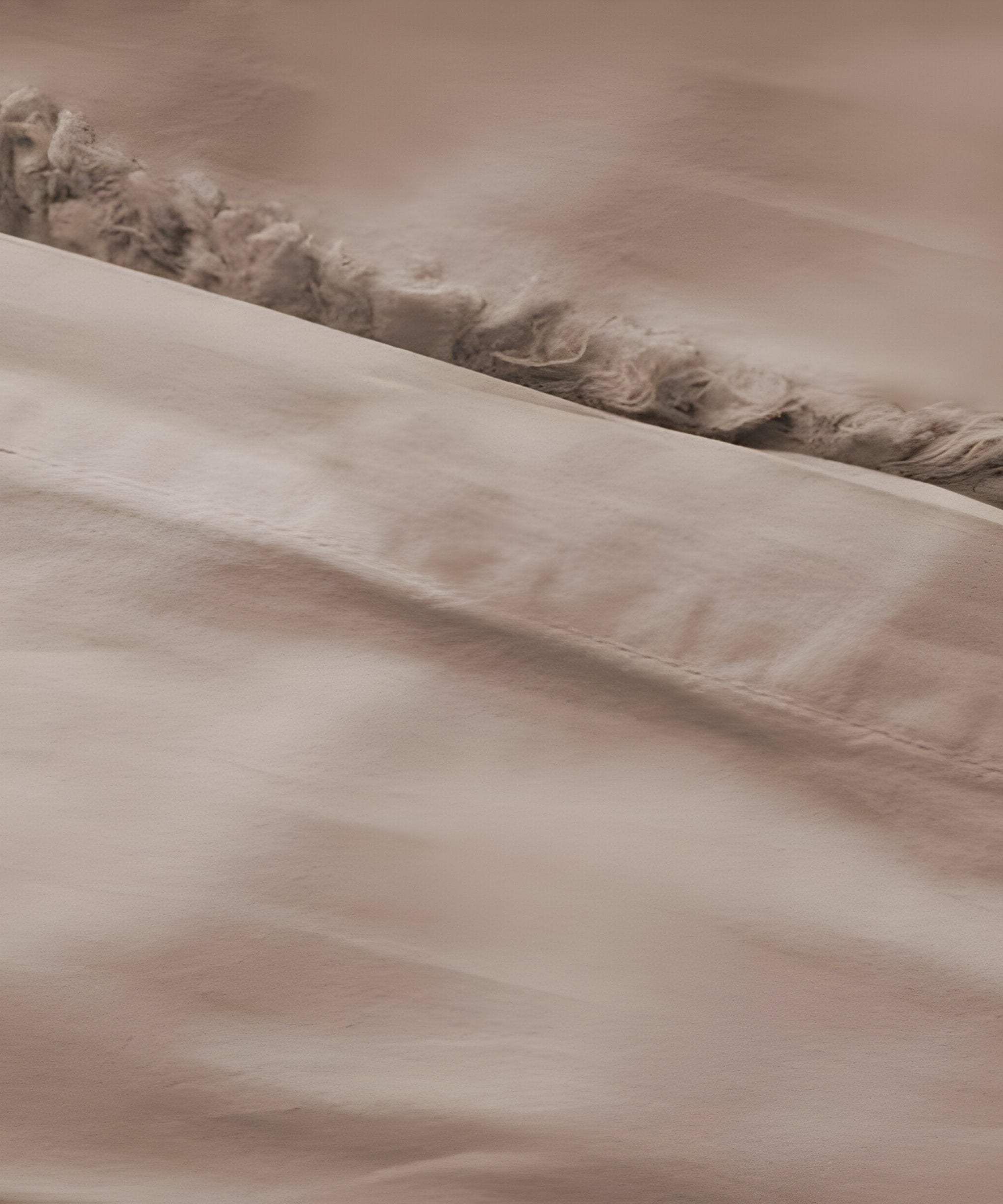 400TC Cotton Sateen Solid Fringe Duvet Cover Set