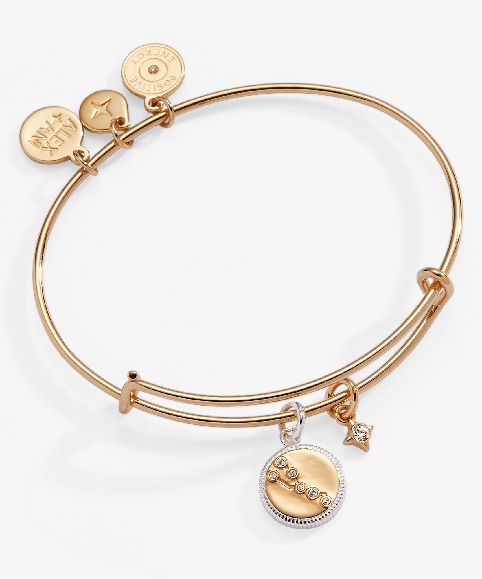 Taurus Zodiac Charm Bangle