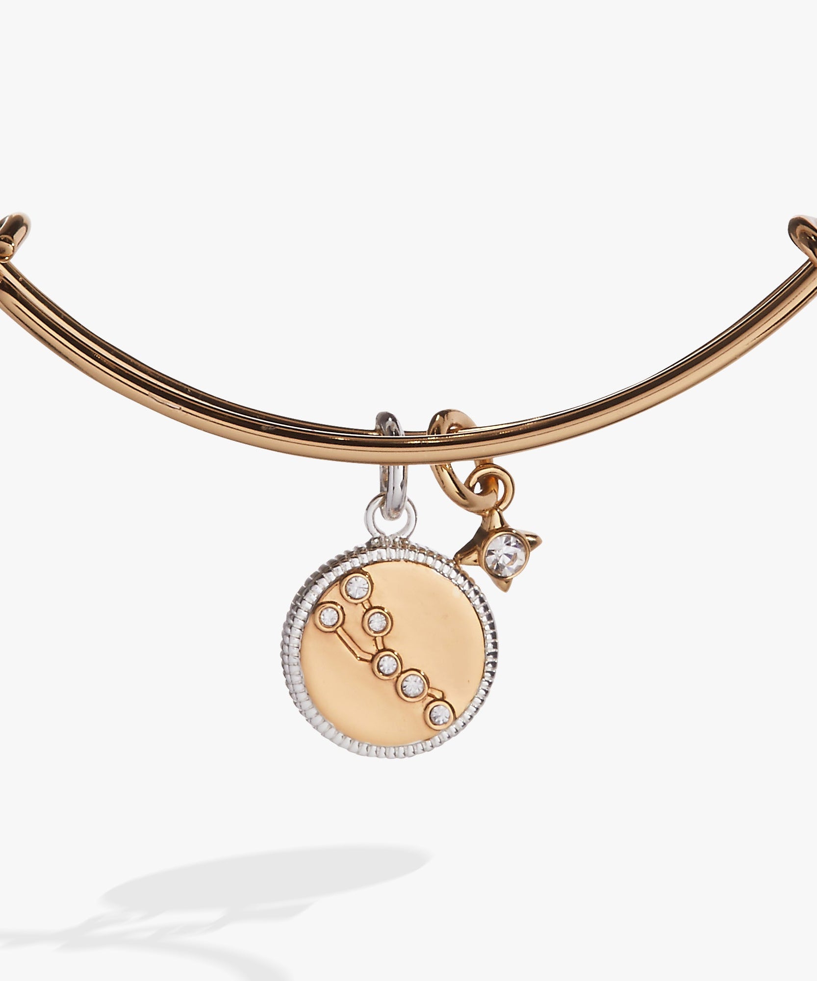 Taurus Zodiac Charm Bangle