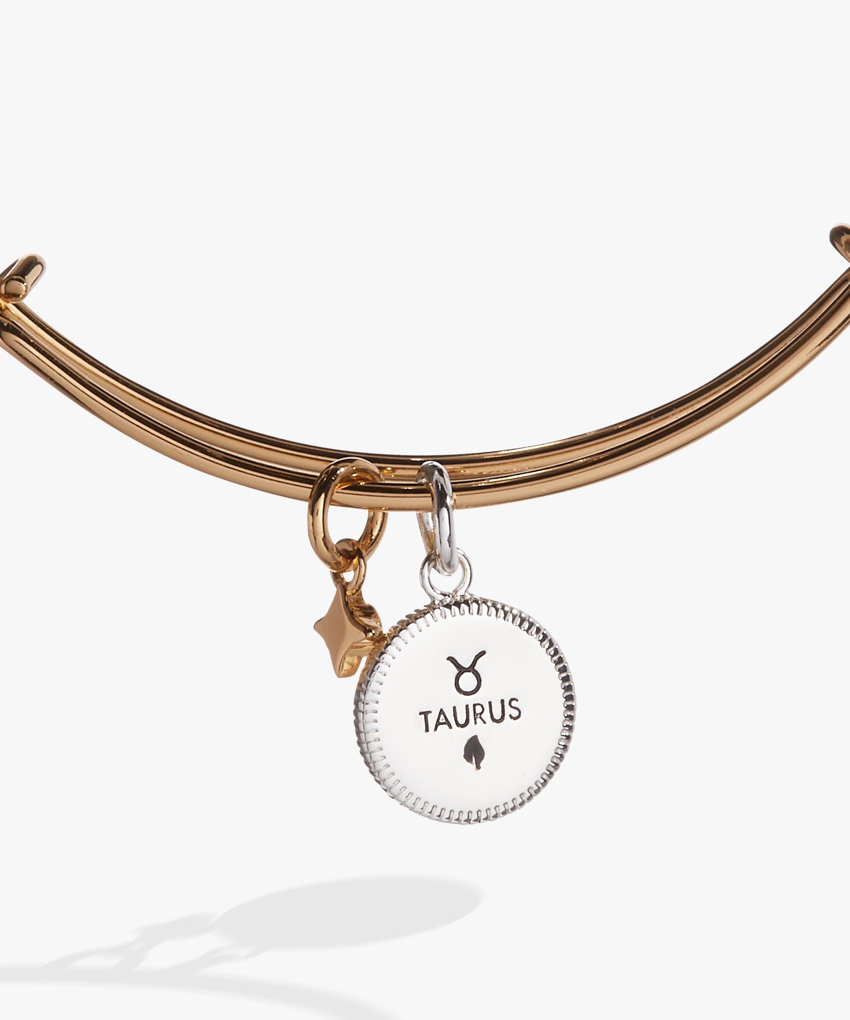 Taurus Zodiac Charm Bangle