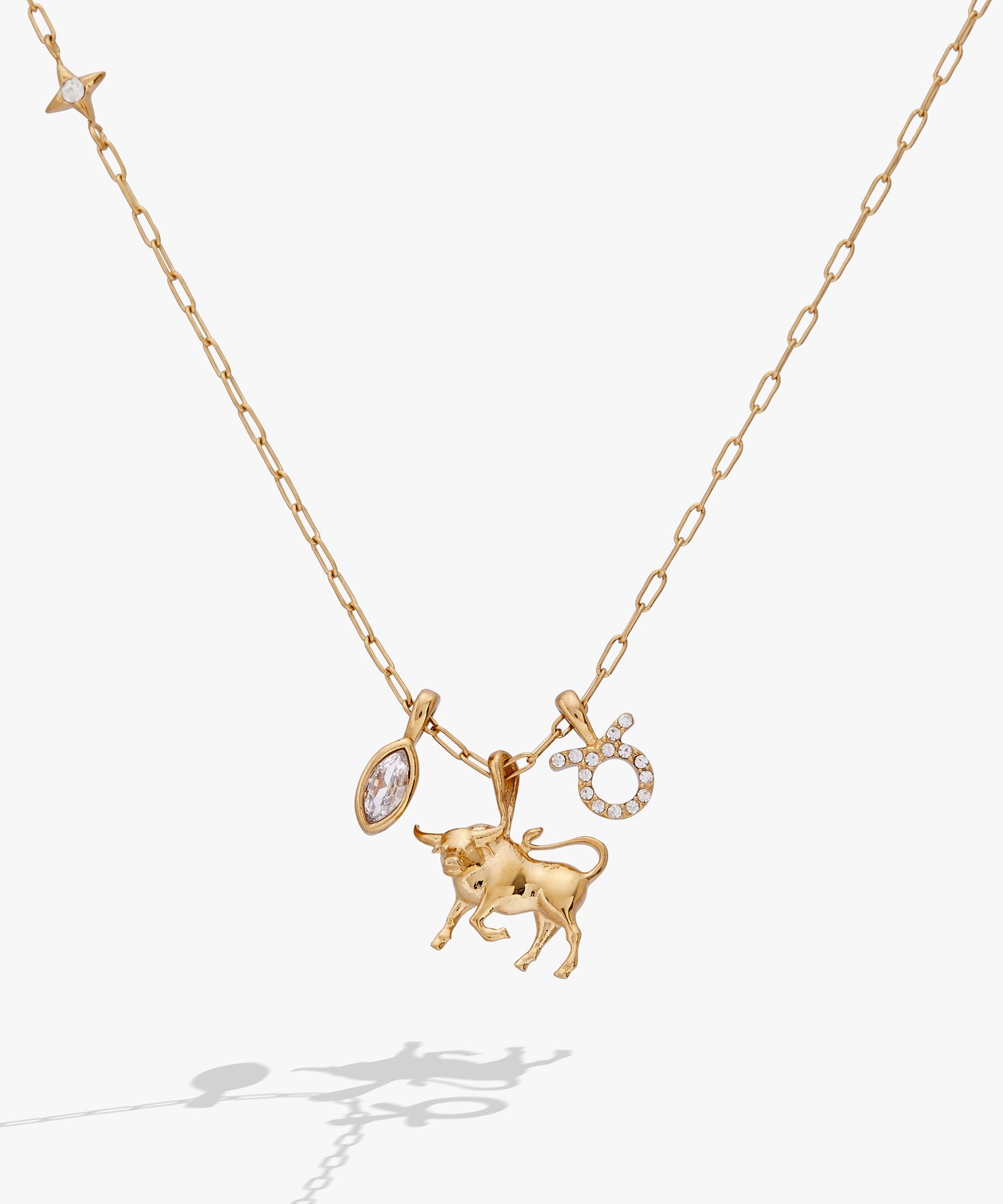 Taurus Zodiac Charm Cluster Necklace