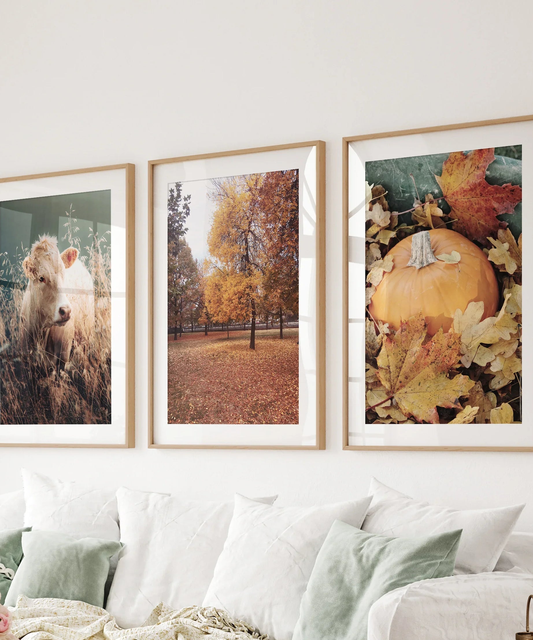 Autumn Farmhouse Prints. Cow, Fall Trees, Pumpkin Decor