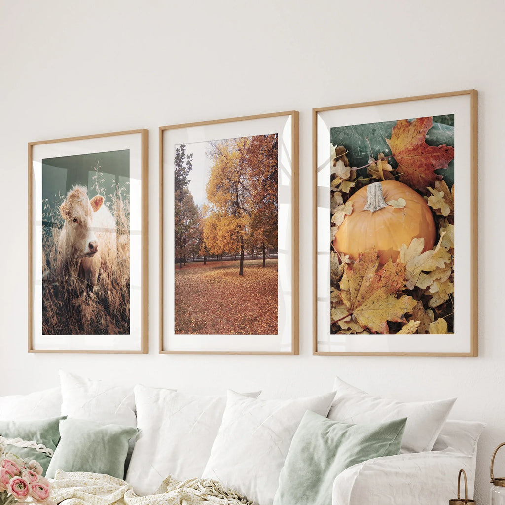 Autumn Farmhouse Prints. Cow, Fall Trees, Pumpkin Decor