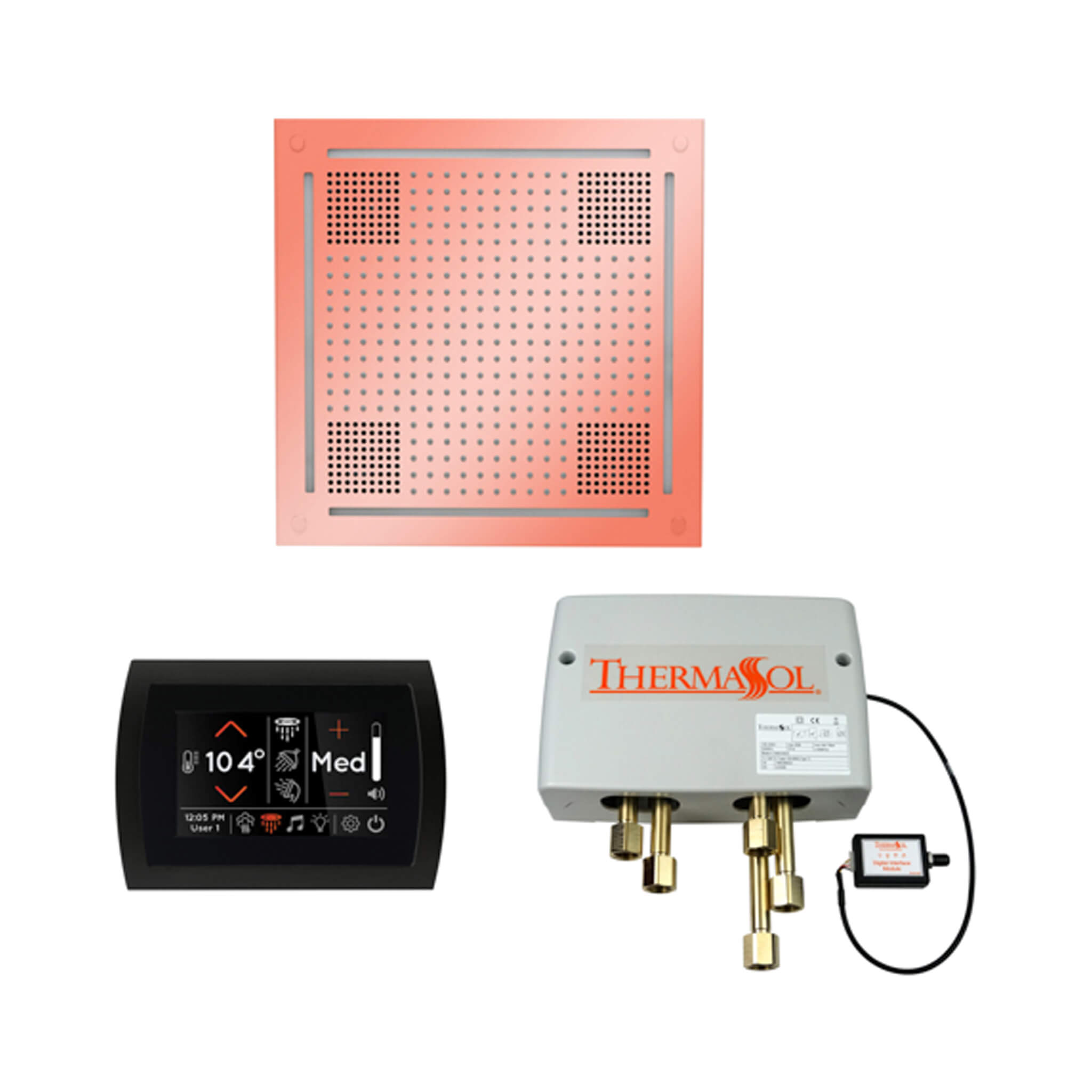 ThermaSol STC & HydroVive Wellness Shower Package With Digital Shower Valve (SAK40716)