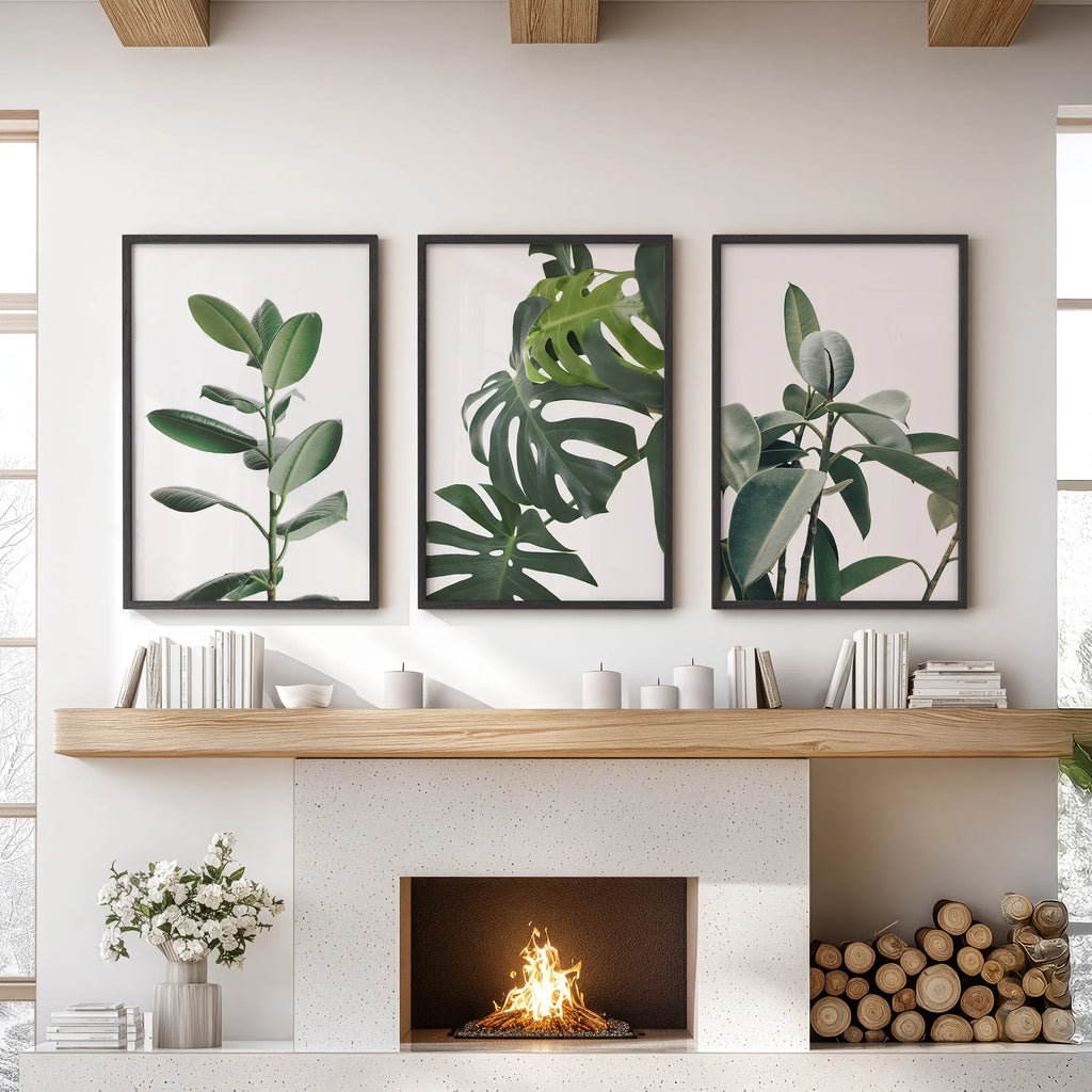 Botanical Set of 3  Prints. Tropical Monstera, Rubber Plant