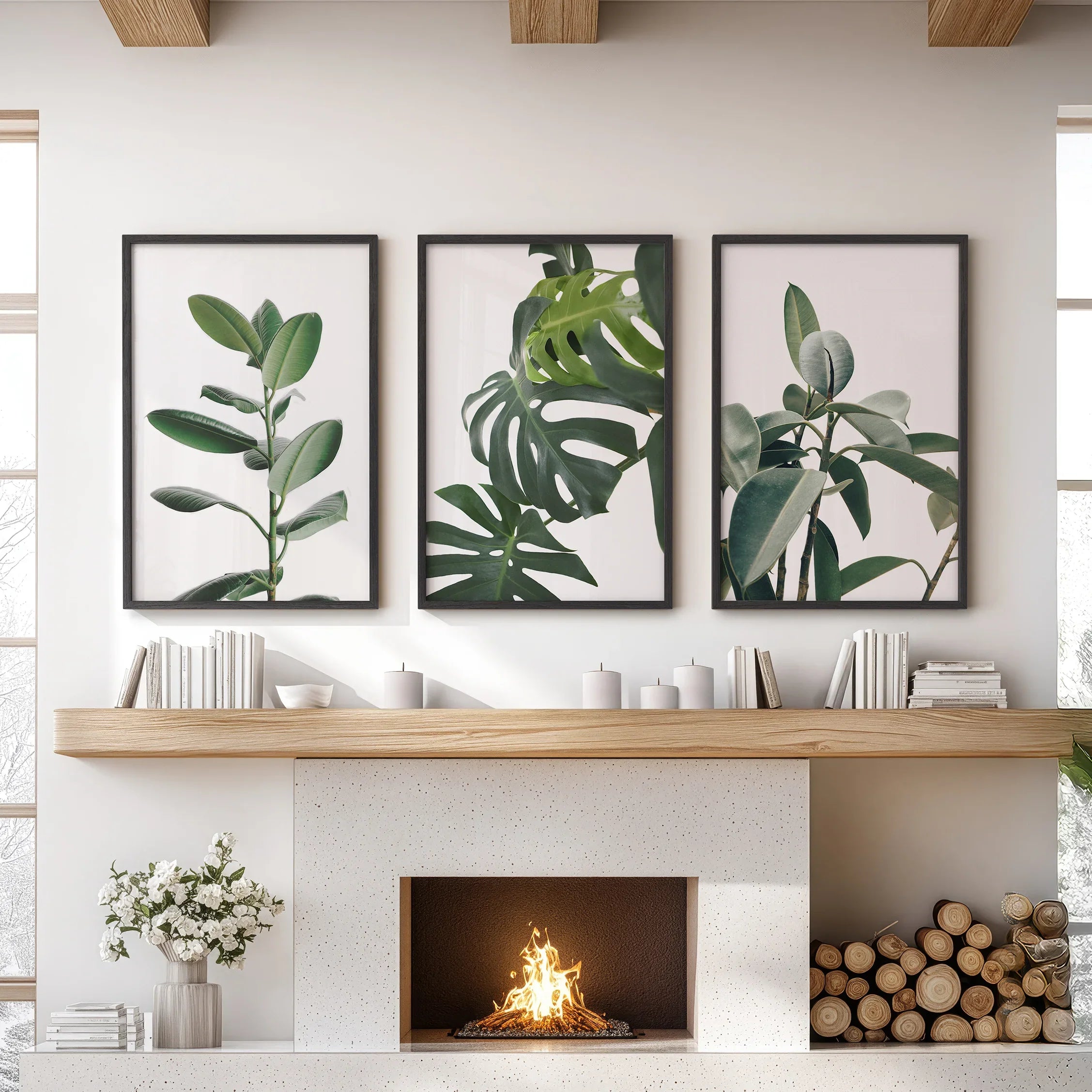 Botanical Set of 3  Prints. Tropical Monstera, Rubber Plant