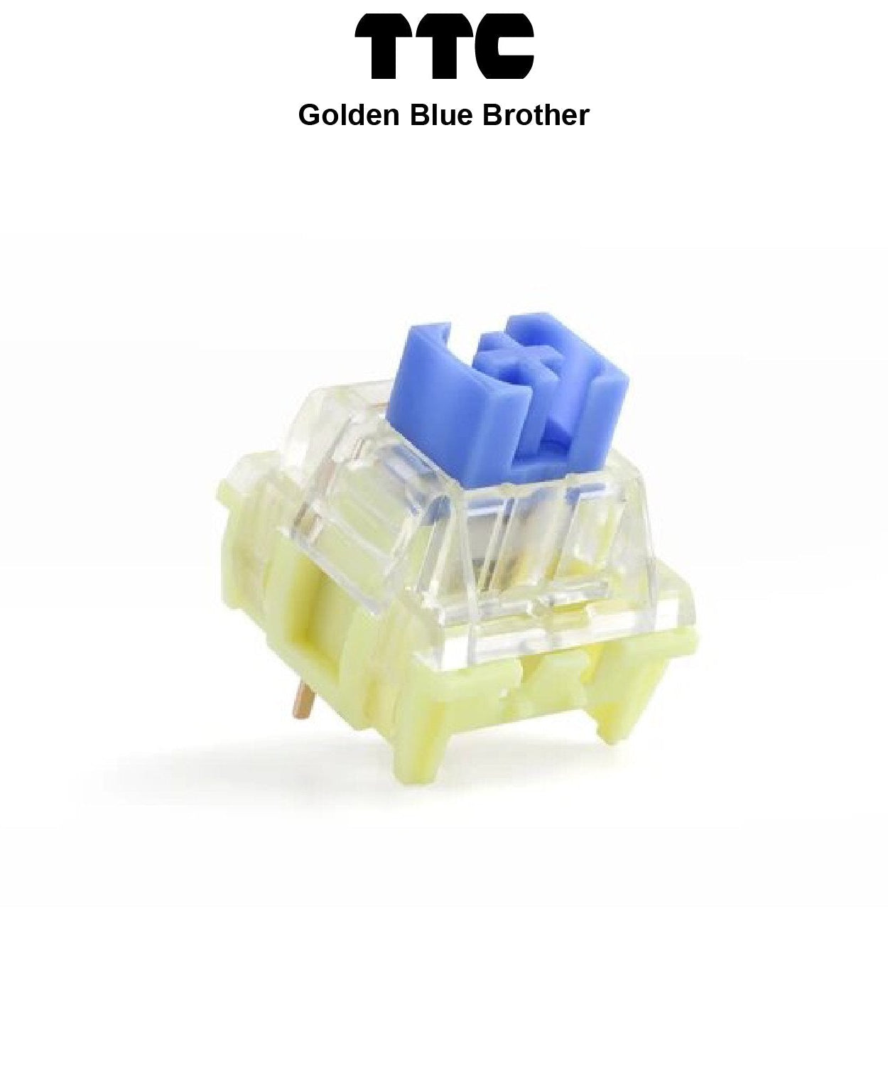 TTC Golden Blue Brother Switches