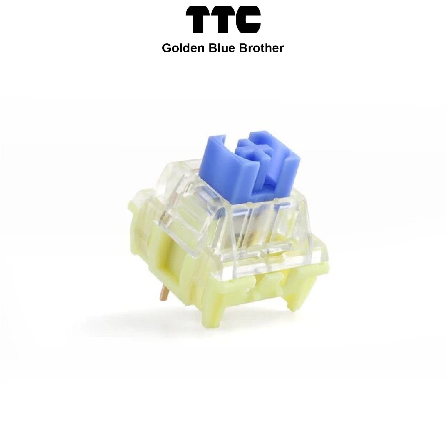 TTC Golden Blue Brother Switches