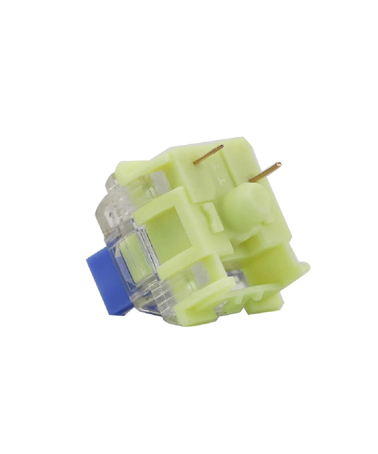 TTC Golden Blue Brother Switches