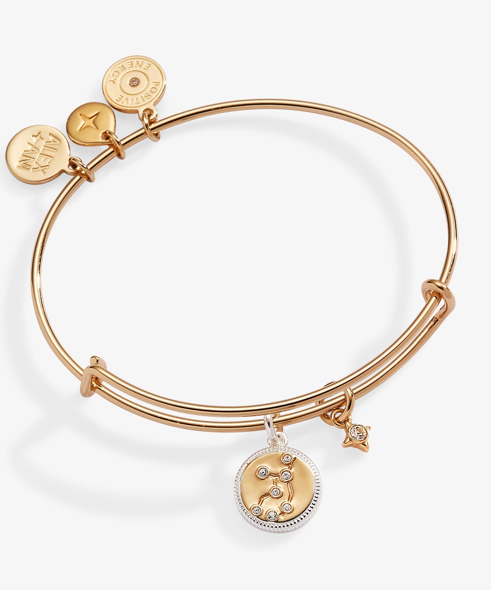 Virgo Zodiac Charm Bangle