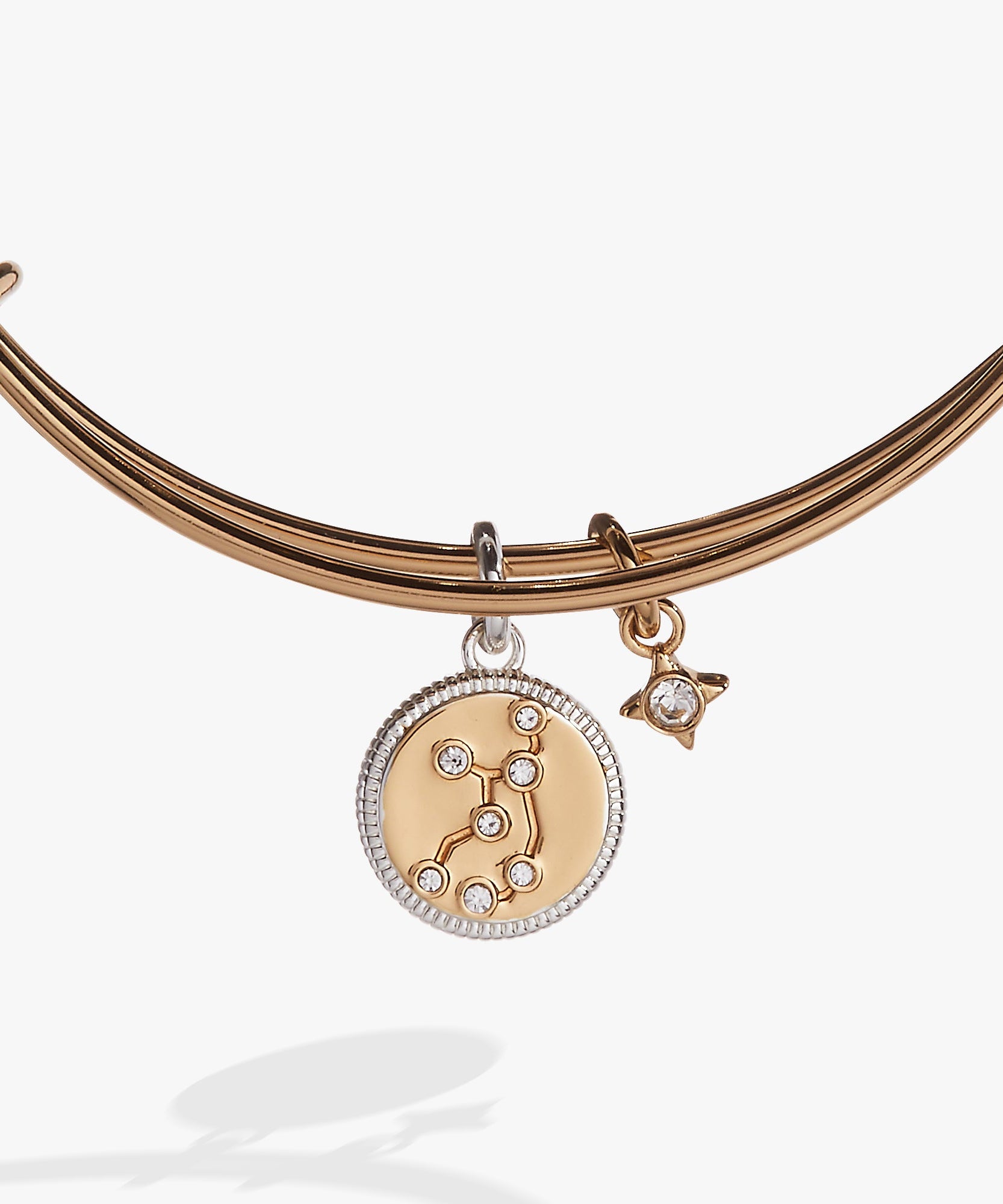 Virgo Zodiac Charm Bangle