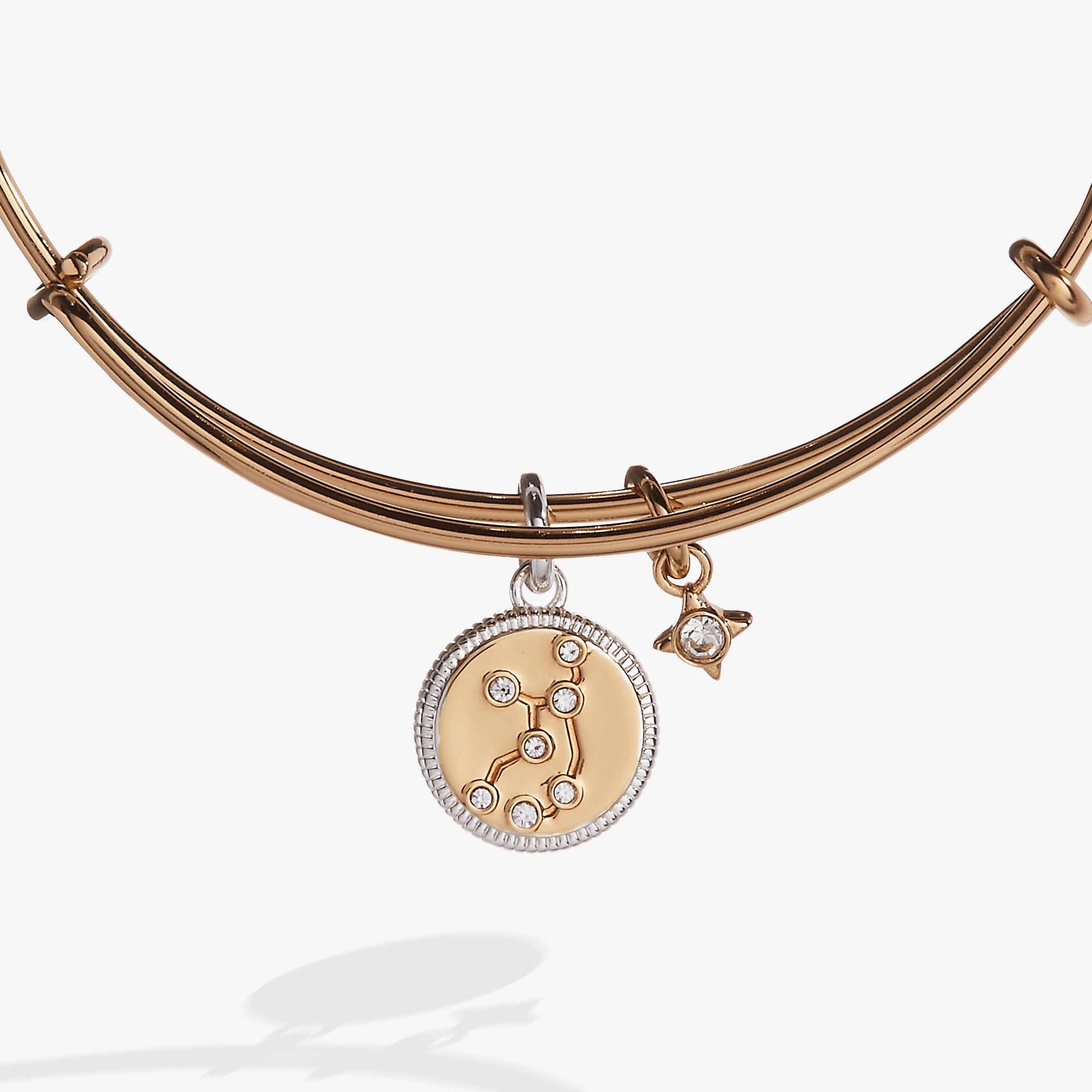Virgo Zodiac Charm Bangle