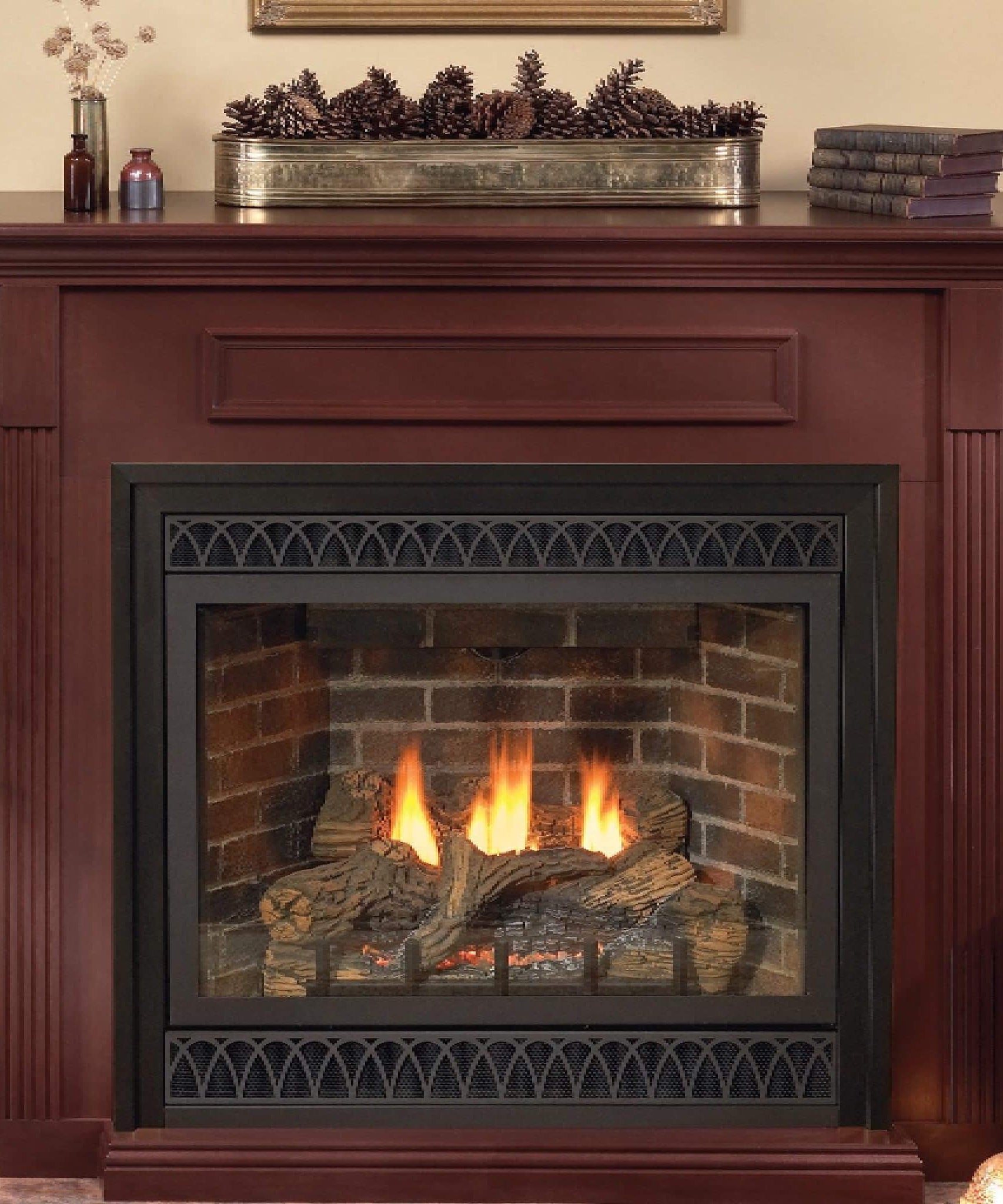 White Mountain Hearth (Empire) Tahoe 42-Inch Natural Gas Direct Vent Deluxe Fireplace [DVD42FP] (SAK56218)
