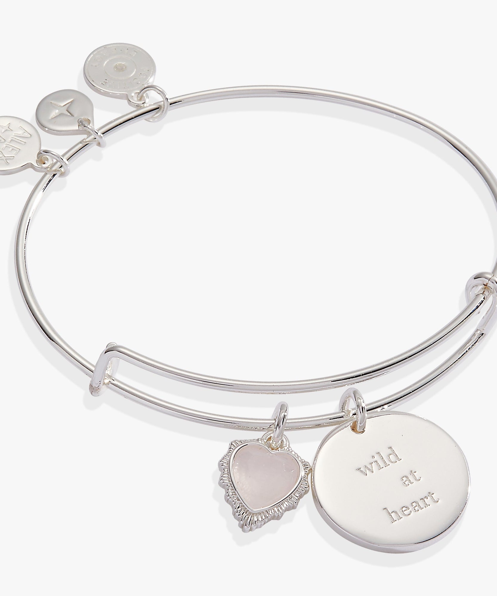“Wild at Heart” Duo Charm Bangle