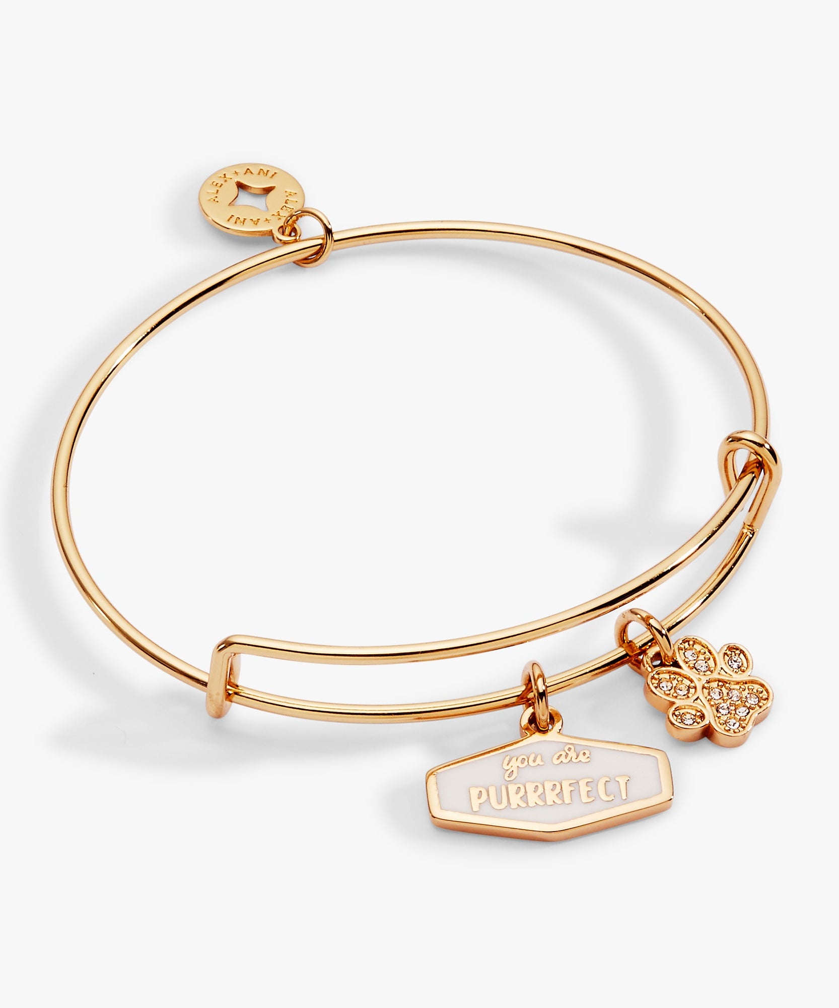 You Are Purrrfect Charm Bangle