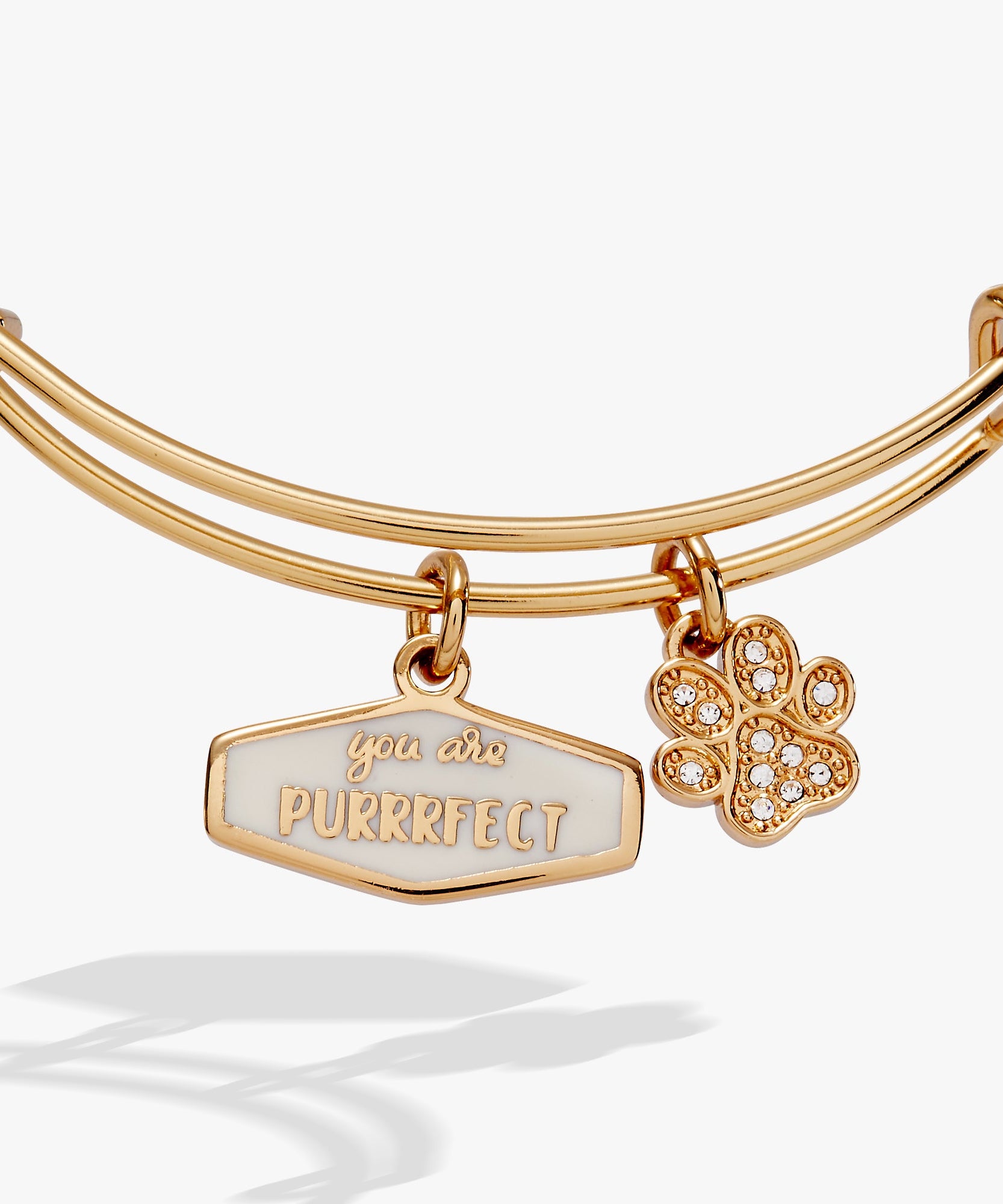 You Are Purrrfect Charm Bangle