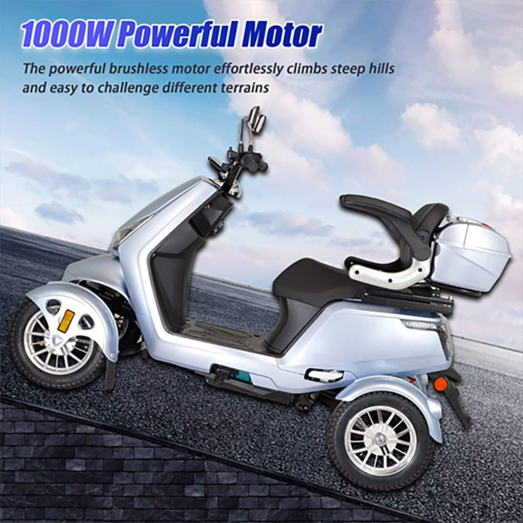 Zvg Heavy-Duty 1000W 60V/20AH 330LBS Four-Wheel All-Terrain Travel Mobility Scooter [SN-4L] (SAK97245)