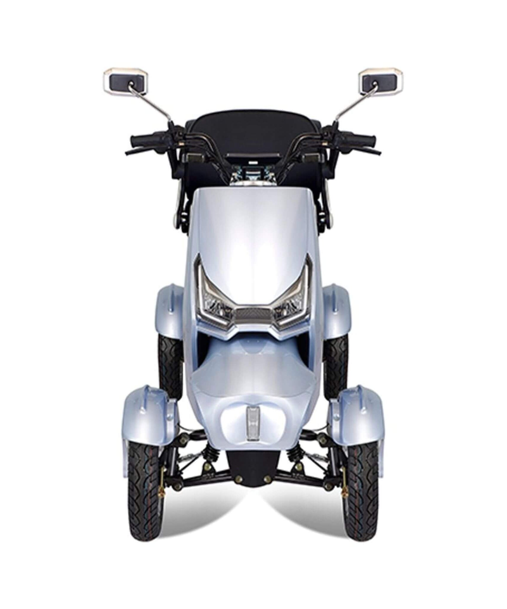 Zvg Heavy-Duty 1000W 60V/20AH 330LBS Four-Wheel All-Terrain Travel Mobility Scooter [SN-4L] (SAK97245)